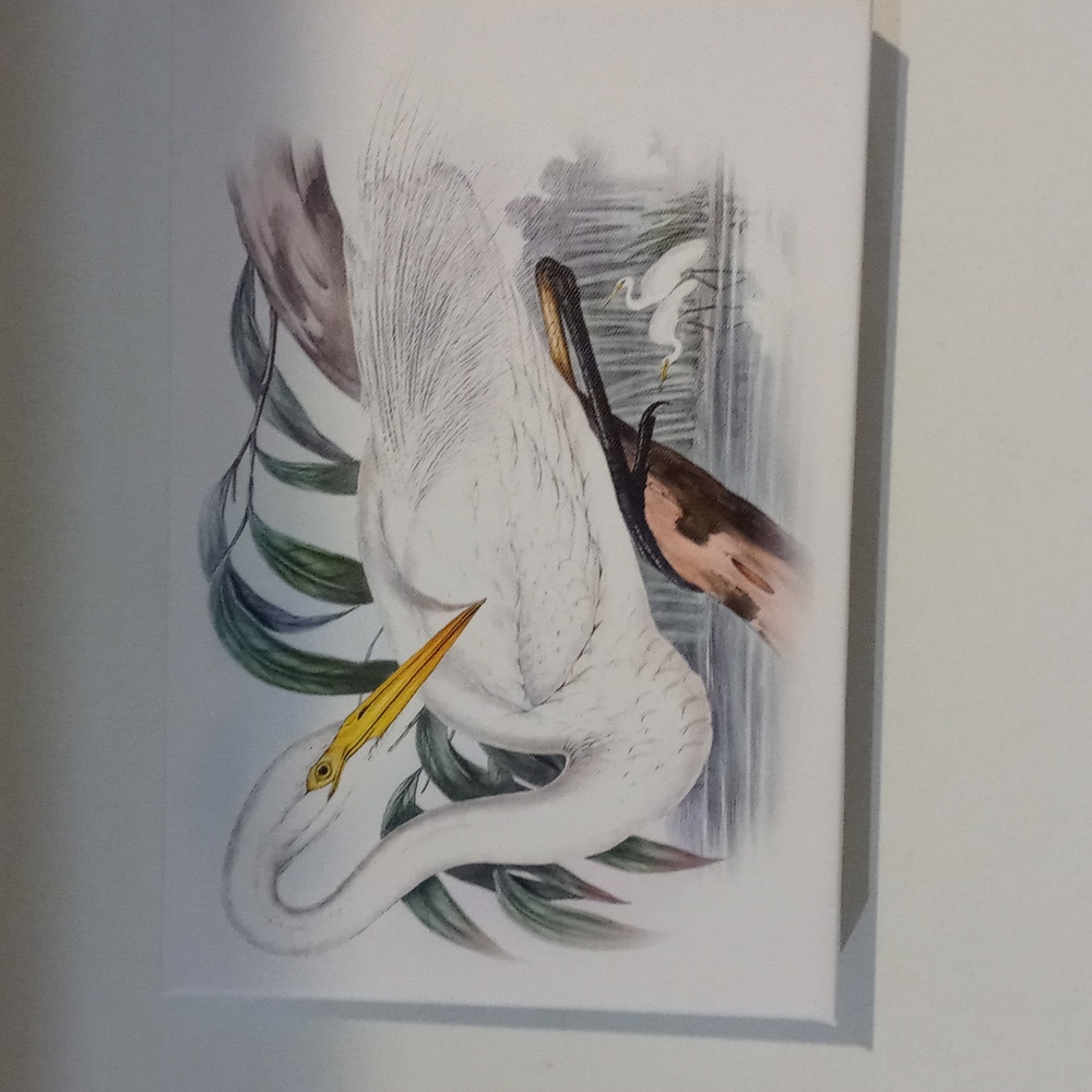 Design painting 12 x 8